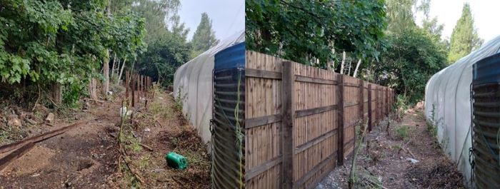 A before and after photo of fencing 