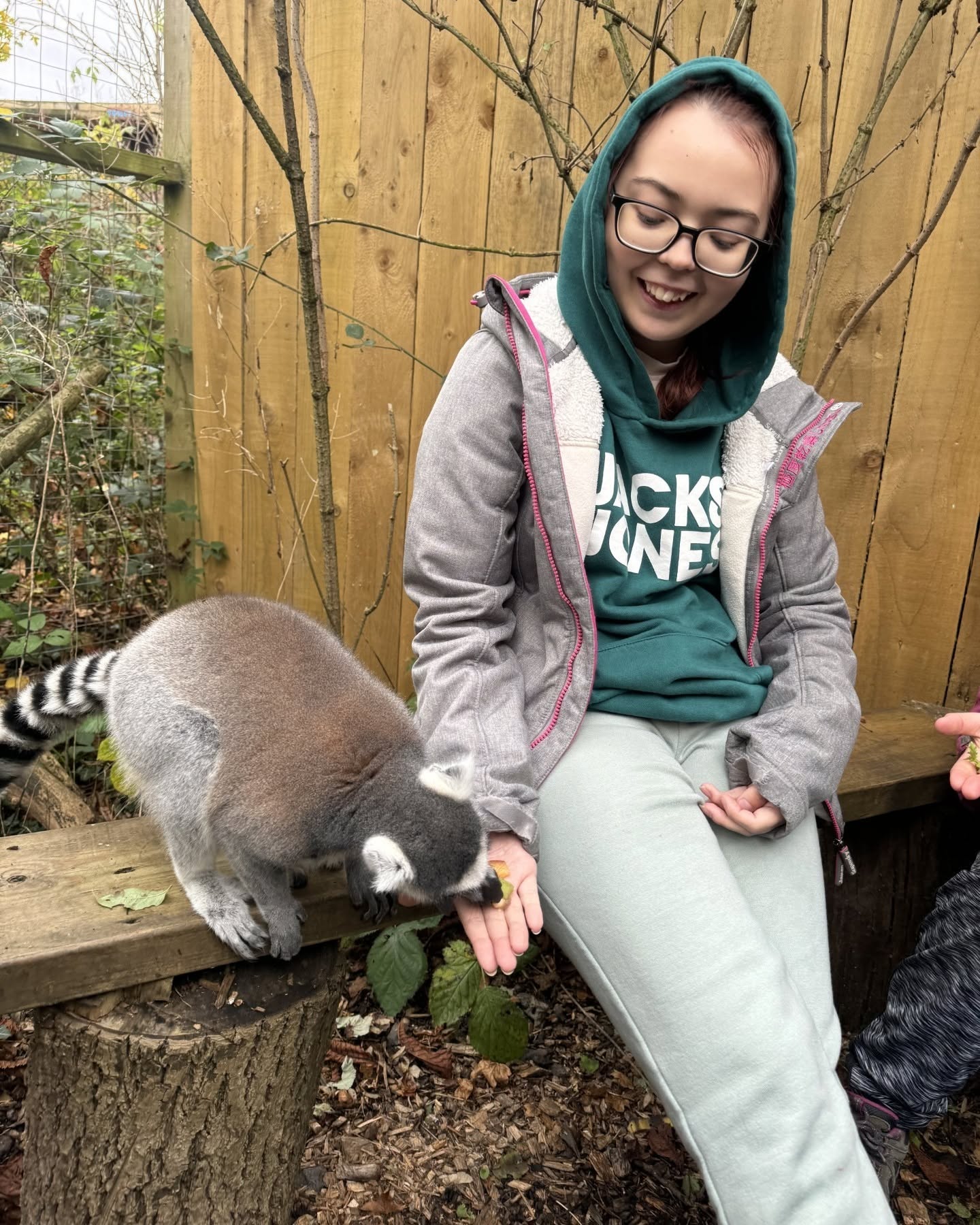 Image of Emma feeding a lemur Image of Emma feeding a lemur