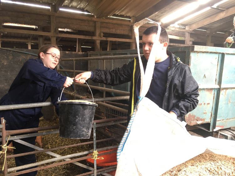 QAC Student on placement at Holbeache Farm