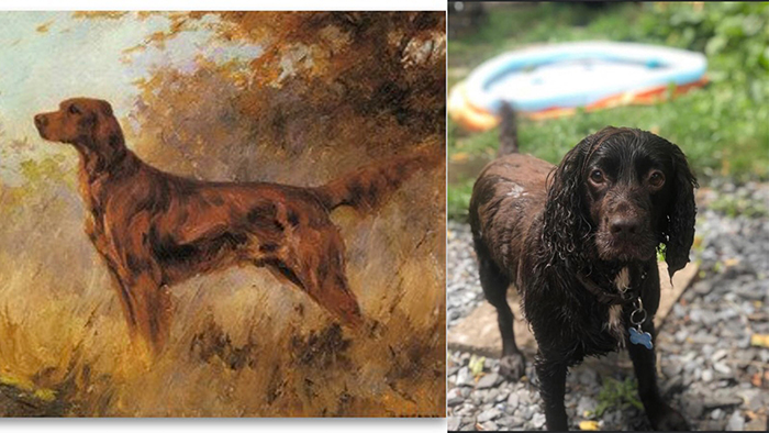 On the left, a painting of a dog by Percival Leonard and on the right a home interpretation