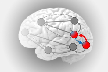 Animated image of brain with various points