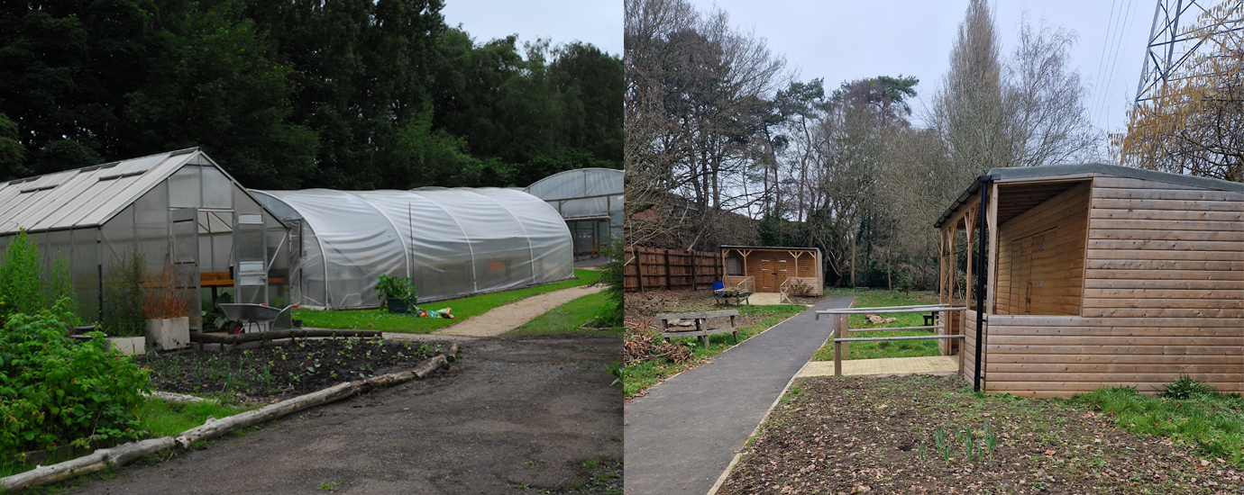 Umberslade Polytunnels and Outdoor area